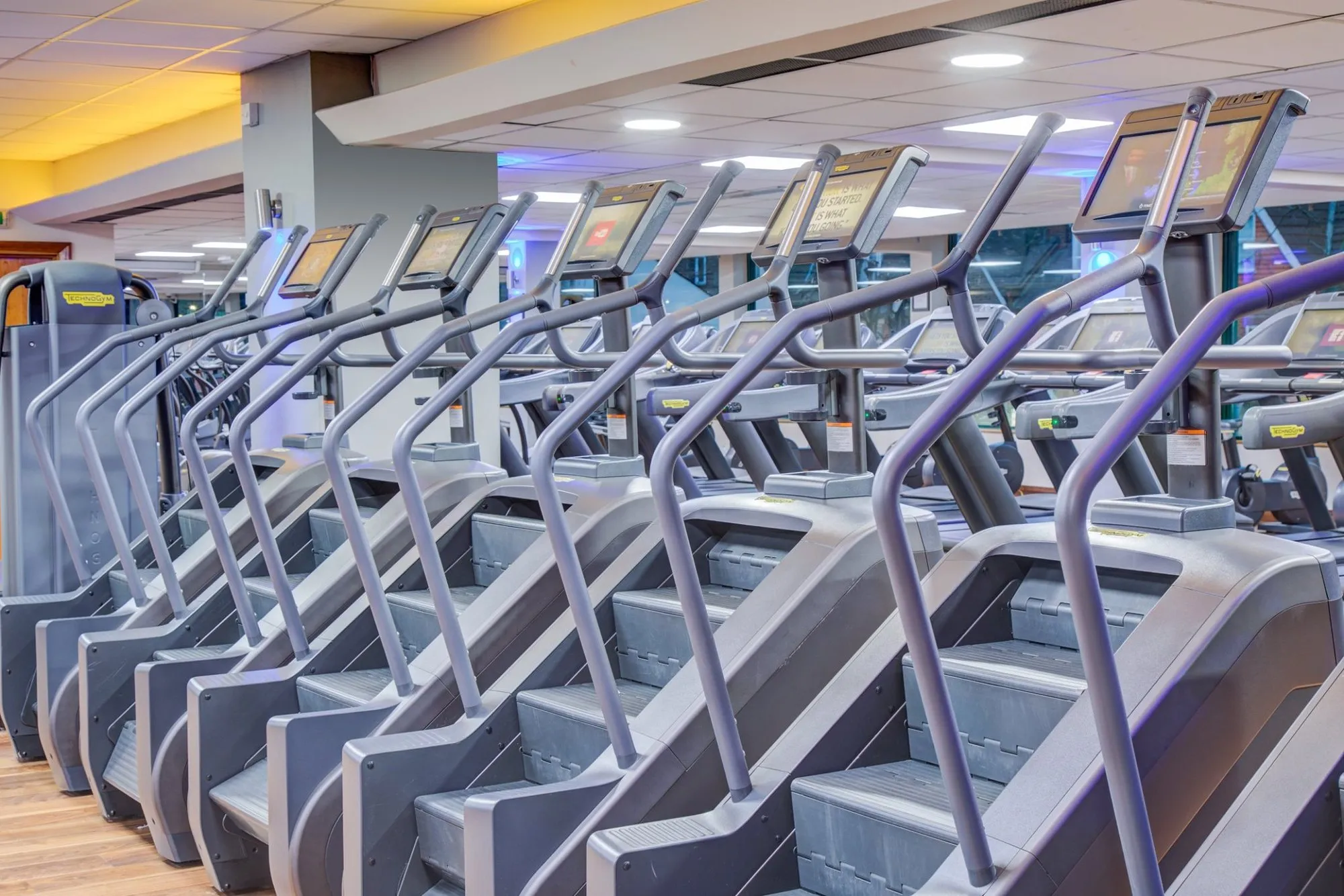 Stair climbers at Gold's Gym Hanwell