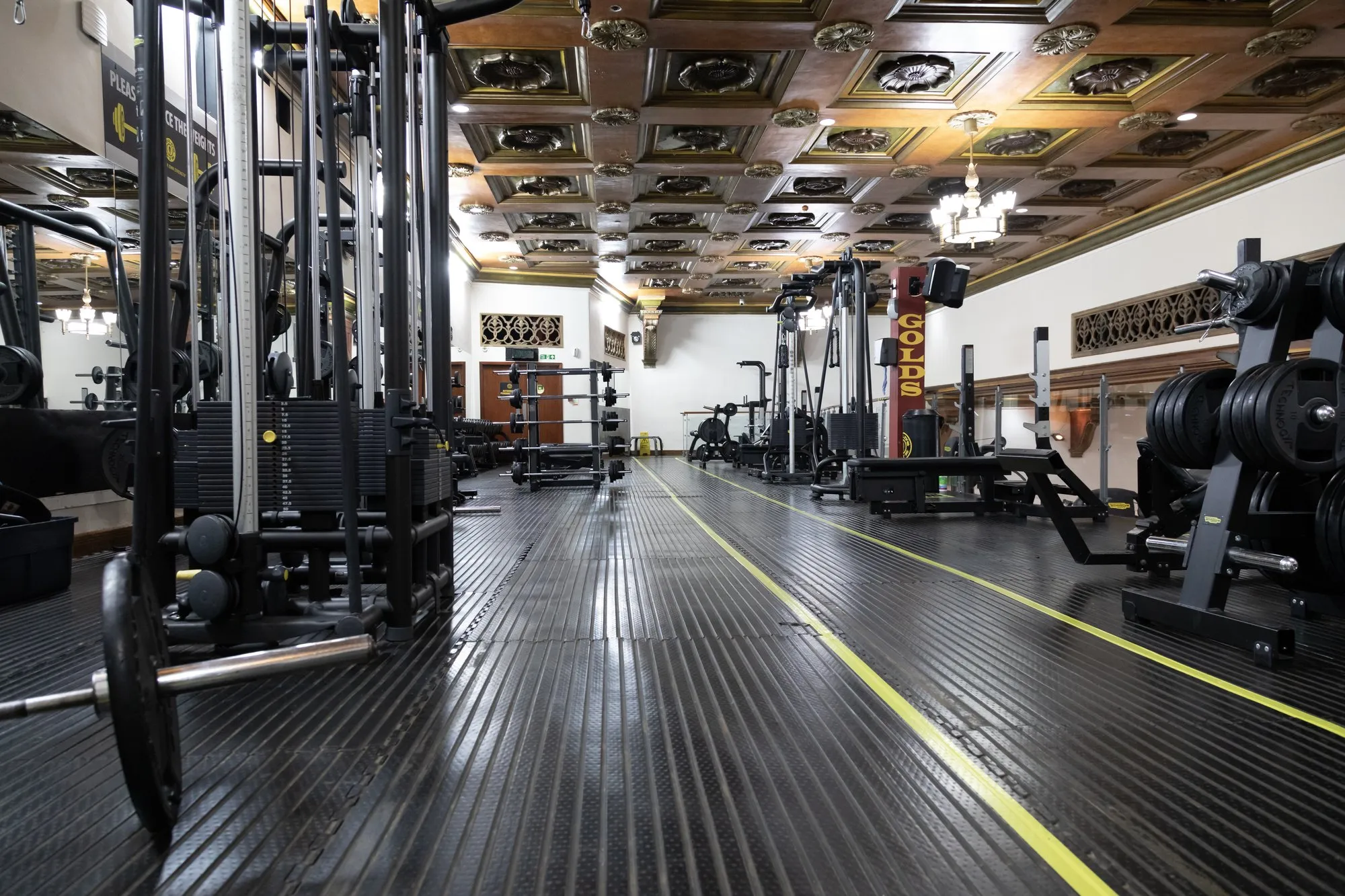 Power racks and free weights at Gold's Gym Harrow