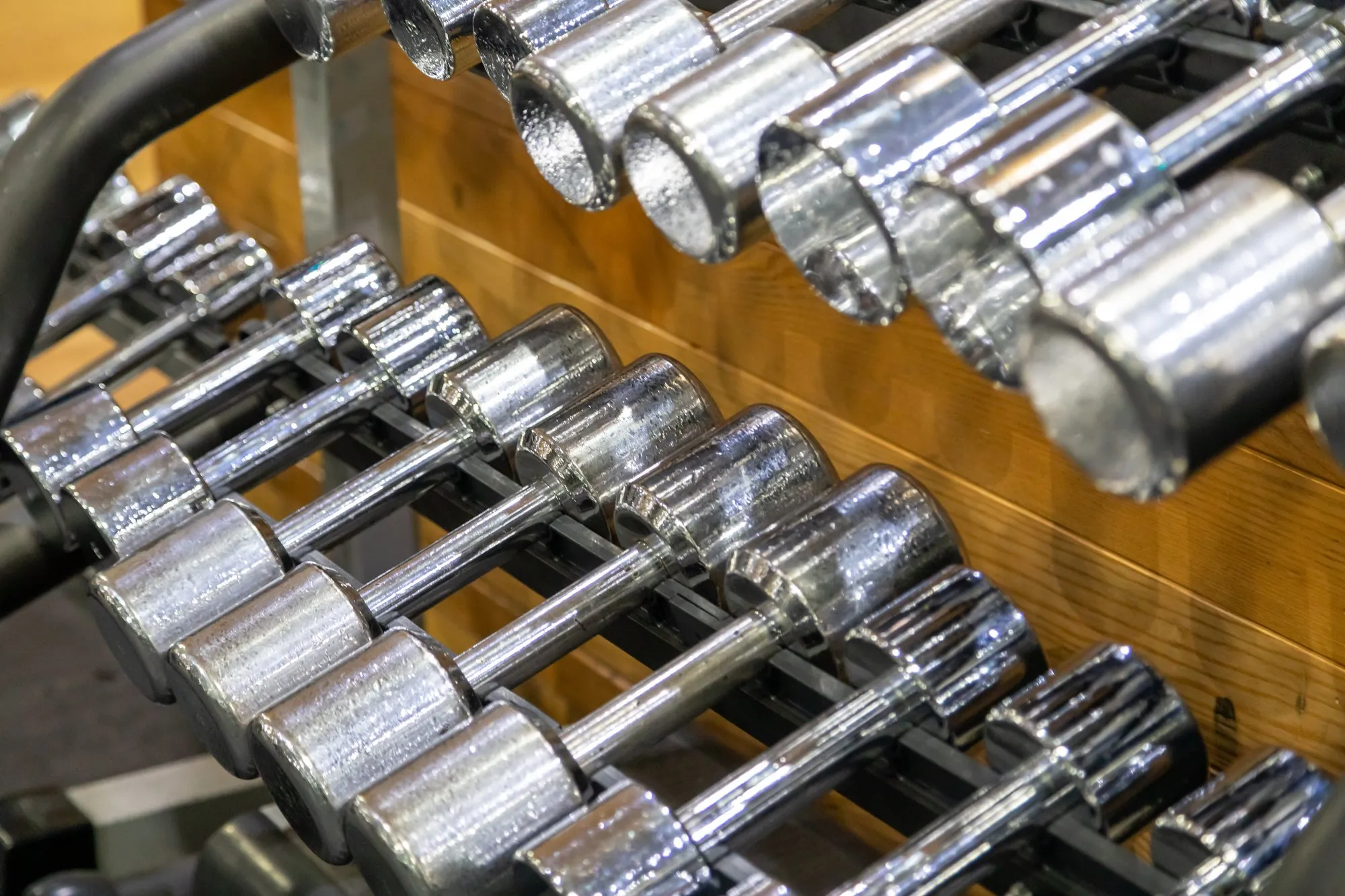 Chrome dumbbells at Gold's Gym Hounslow