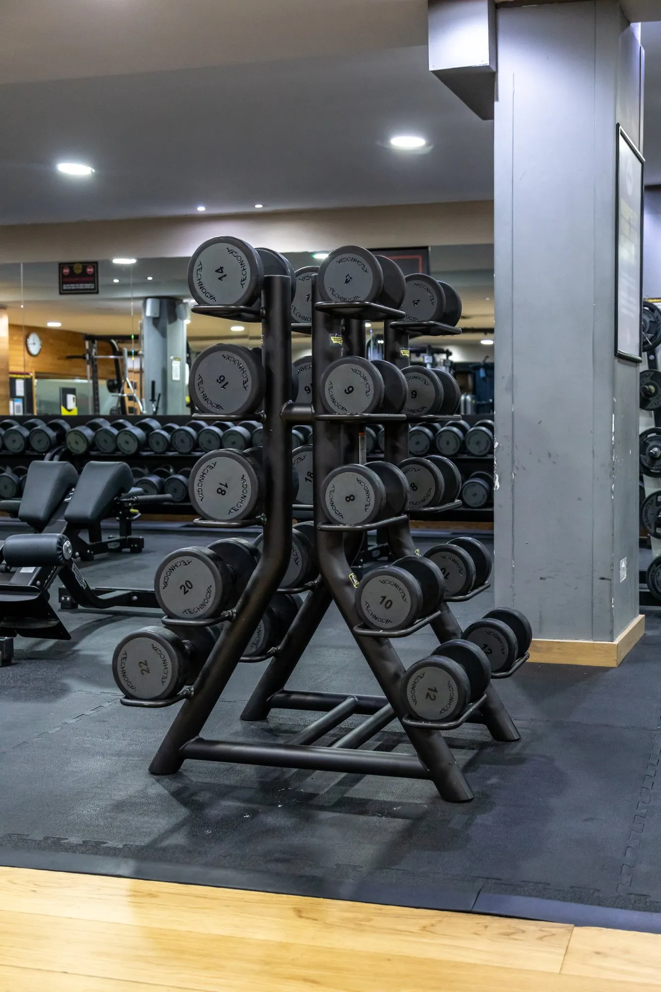 Dumbbell racks and a plate tree